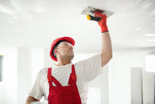 Best Asbestos and Lead Testing During Mold Inspection  in West Loch Estate, HI